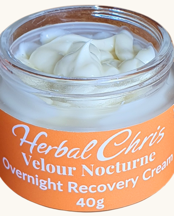 Velour Nocturne Overnight Recovery Cream